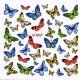 Decal -  Schmetterlinge blau/grün/rot/gelb  (M57)