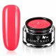 Fashion Color - Living Coral, 5ml
