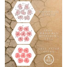 Hand & Body Butter - lavender & chamomile - 180ml - feuchtigkeitsspendende - nichtfettende Körperbutter für Hände, Körper und Füße