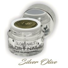 Fashion Color - Silver Olive