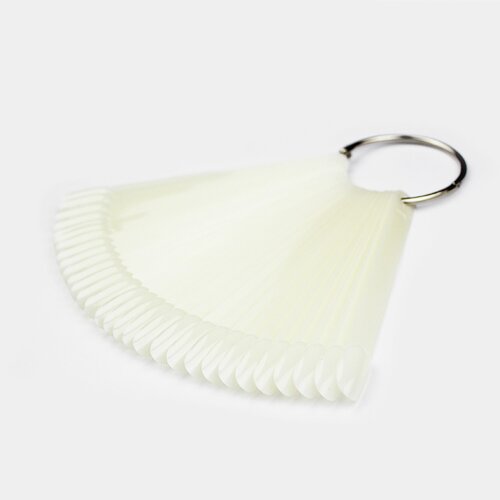 Farbfächer, Oval 50Stck - natur