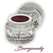 Fashion Color - Burgundy