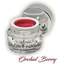 Fashion Color - Orchid Berry, 5ml