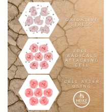 Hand & Body Butter - lavender & chamomile - 240ml - feuchtigkeitsspendende - nichtfettende Körperbutter für Hände, Körper und Füße