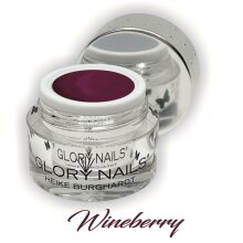 Fashion Color - Wineberry 5ml