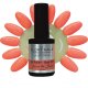 UV Polish SET - Sex on the Beach - 3x10ml - Base, Colore + Finish